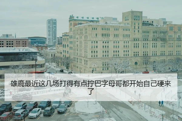 雄鹿最近这几场打得有点拧巴字母哥都开始自己硬来了