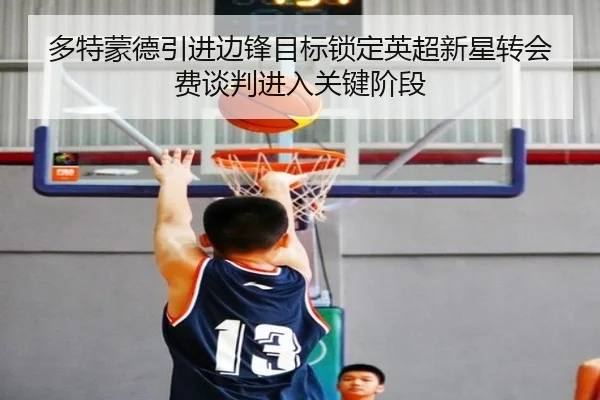 多特蒙德引进边锋目标锁定英超新星转会费谈判进入关键阶段