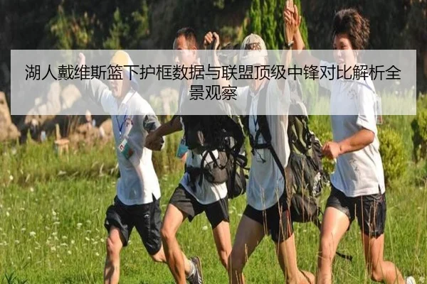 湖人戴维斯篮下护框数据与联盟顶级中锋对比解析全景观察