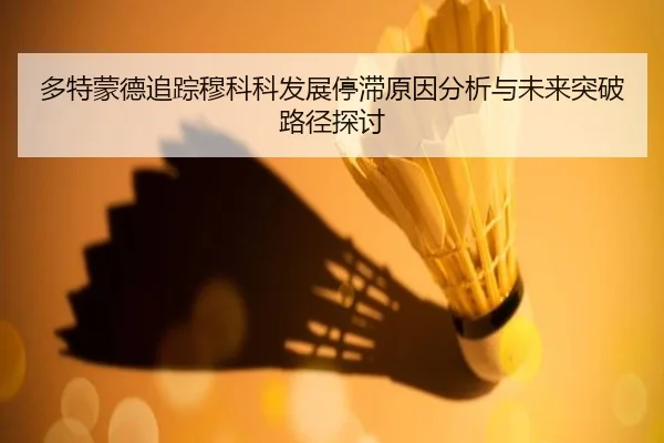 多特蒙德追踪穆科科发展停滞原因分析与未来突破路径探讨