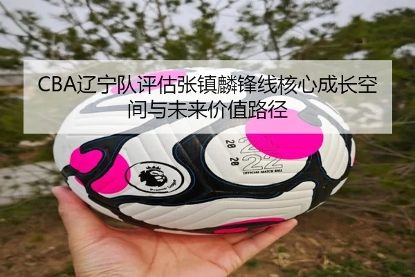 CBA辽宁队评估张镇麟锋线核心成长空间与未来价值路径